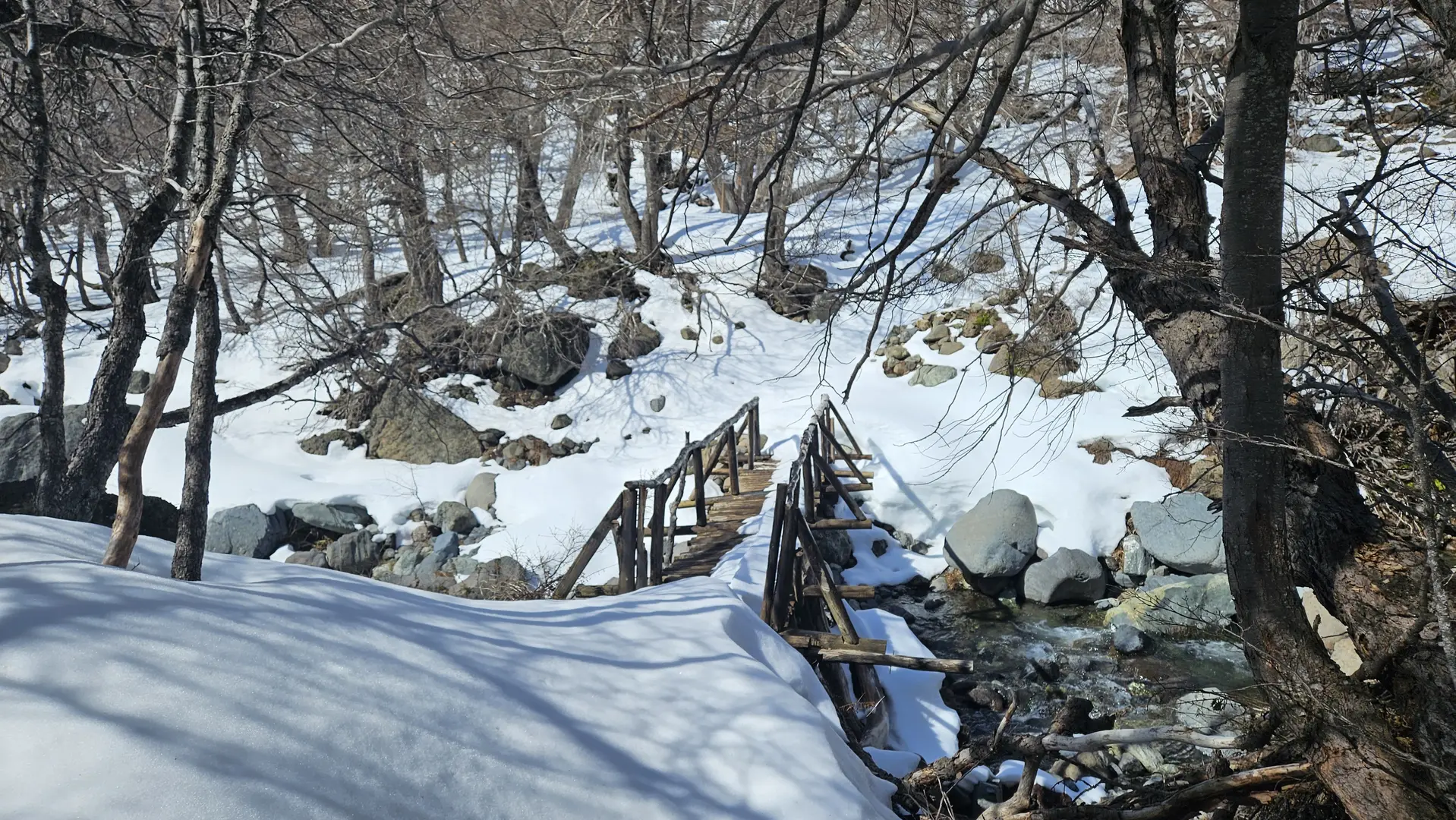 Puente el arriero