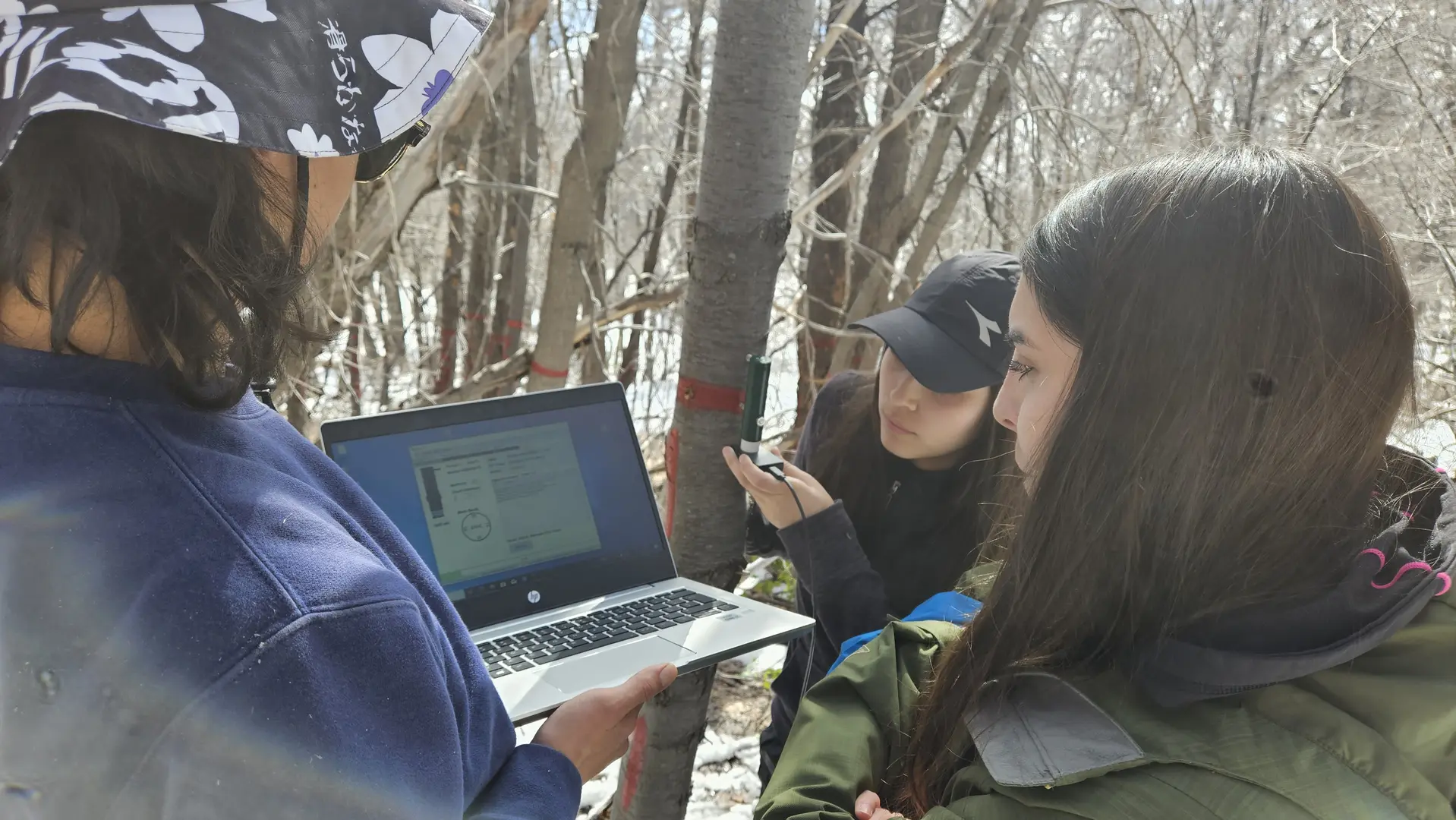 Equipo descargando datos dendrómetro